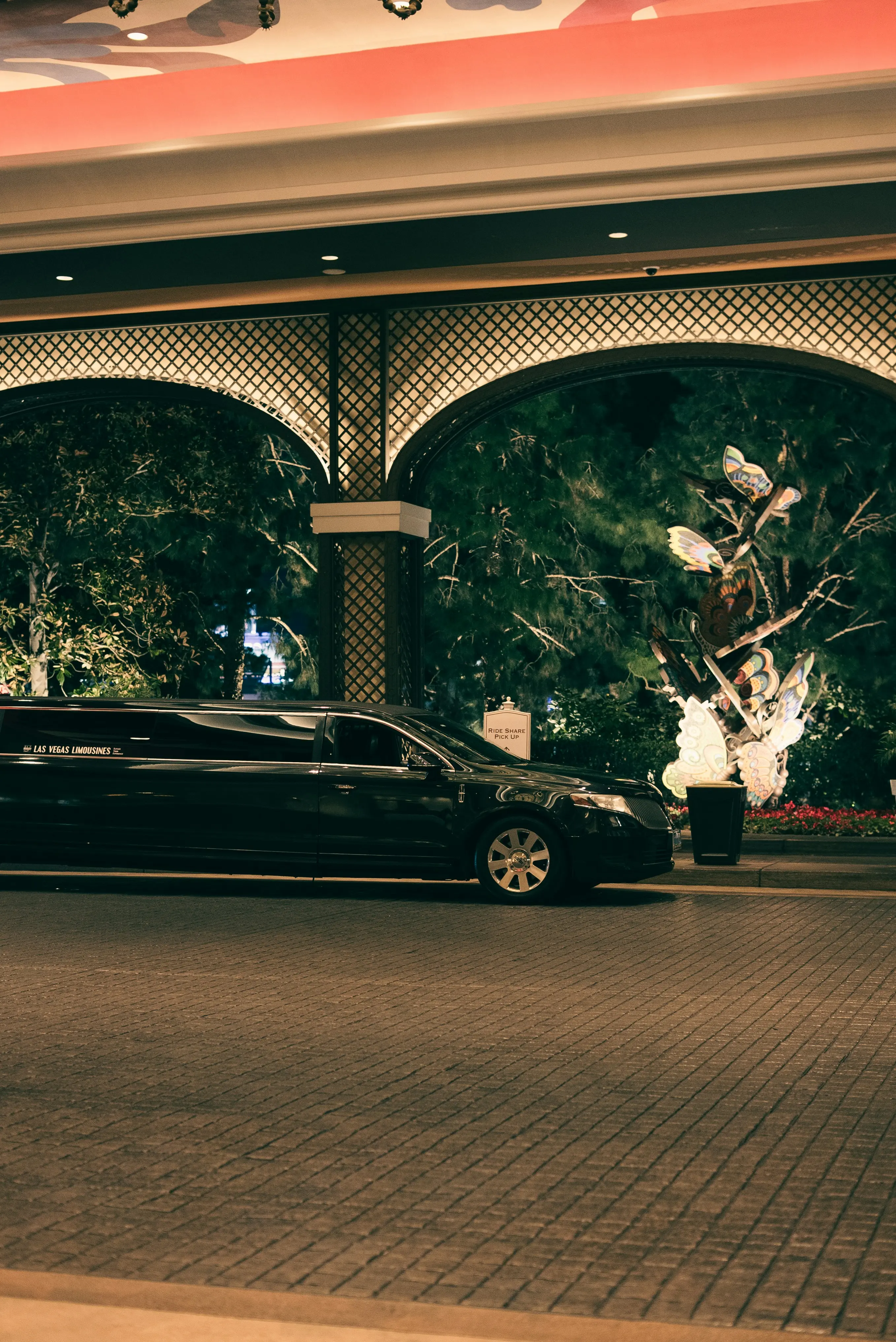 Stretch Limousine